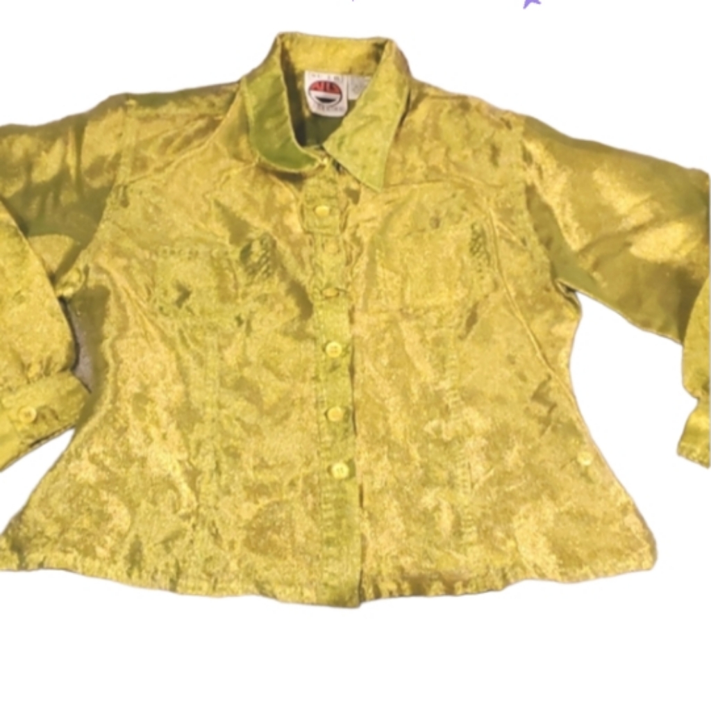 Vintage Sheer Shiny Blouse Juniors Lg
